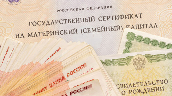    В России предложили сделать программу маткапитала бессрочной Татьяна Сидорова