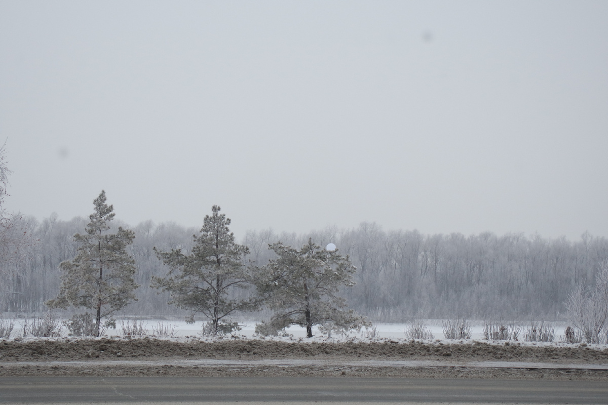 хоть печатай и в рамочку - на стену!..