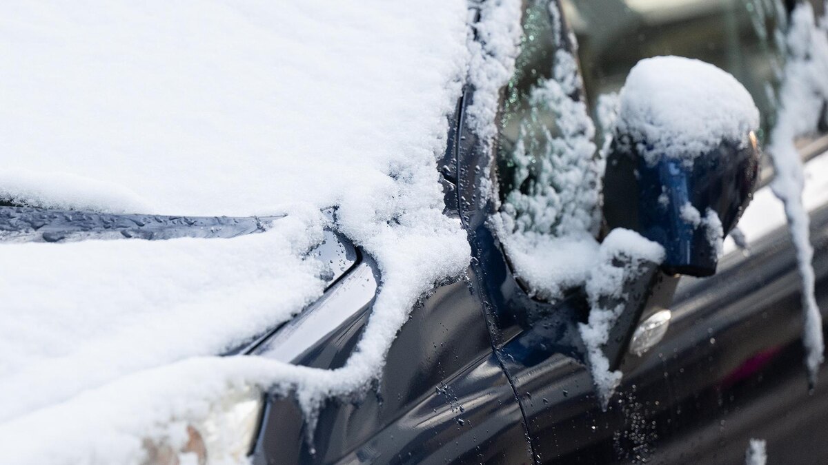    Фото: Sven Hoppe/globallookpress.com