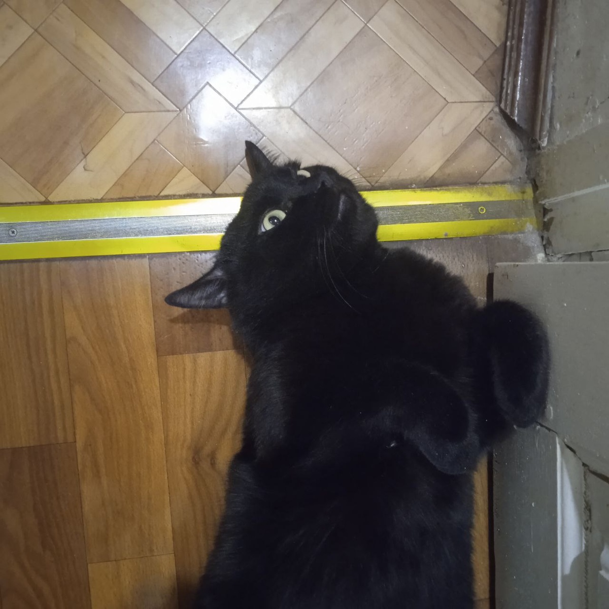 Фото автора.