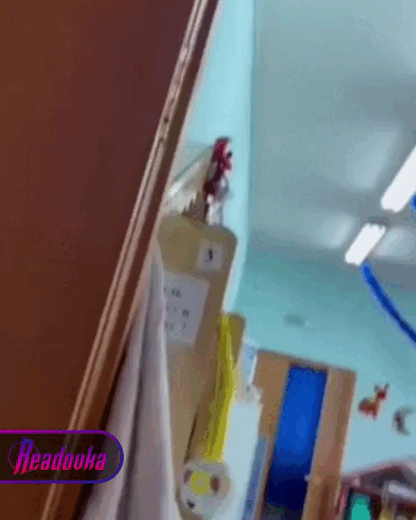    Фото: телеграм-канал Readovka