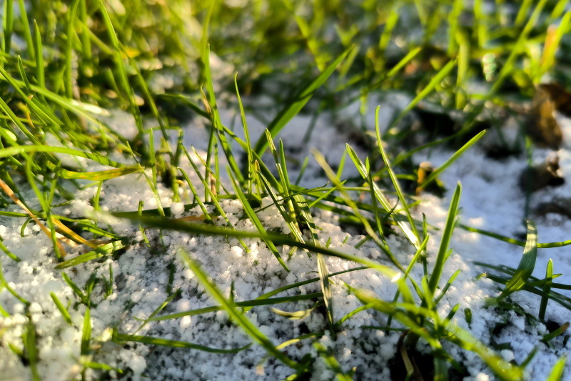    ФОТО: Maksim Konstantinov/Global Look Press