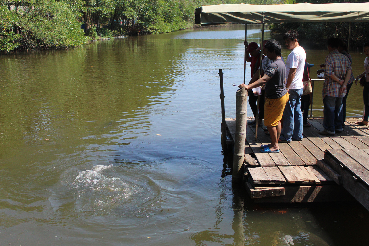 Тут они и живут