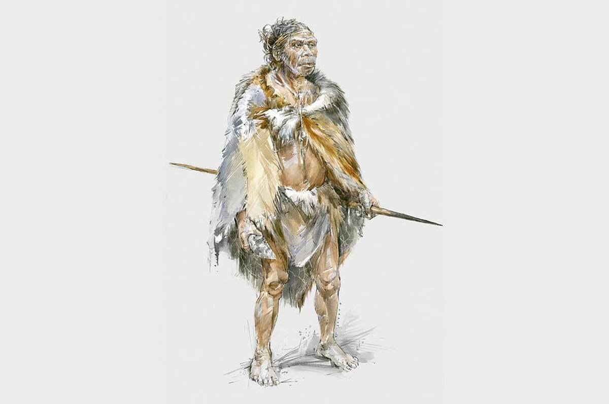 Homo erectus (человек прямоходящий) — ископаемый вид людей, который рассматривают как непосредственного предка современных людей. 

Считается, что эректусы появились в Восточной Африке в эпоху среднего плейстоцена, и уже 1,8 миллиона лет назад через Ближний Восток широко распространились по Евразии, достигнув Китая. 