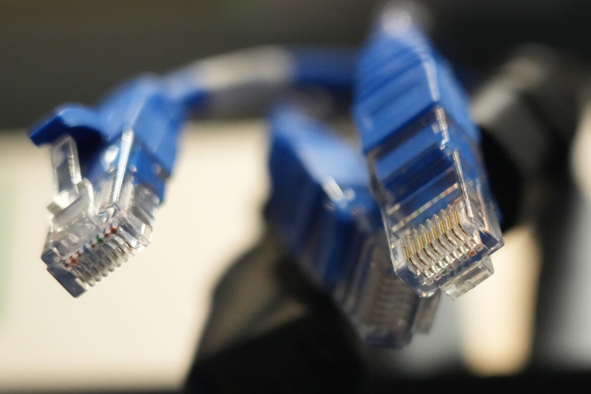     / Источник: © ИЗВЕСТИЯ/Дмитрий Коротаев