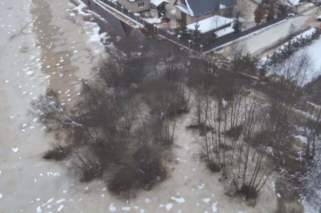    Фото: Официальный канал Комитета правопорядка и безопасности ЛО./ Скриншот видео