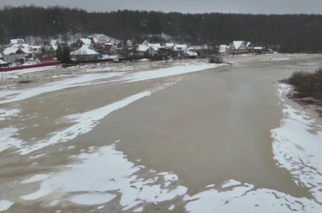    Фото: Официальный канал Комитета правопорядка и безопасности ЛО./ Скриншот видео