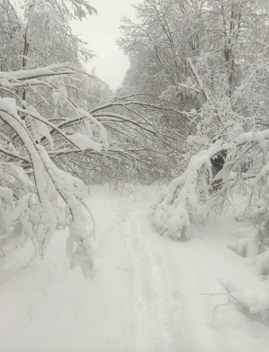 К красоте претензий нет.
