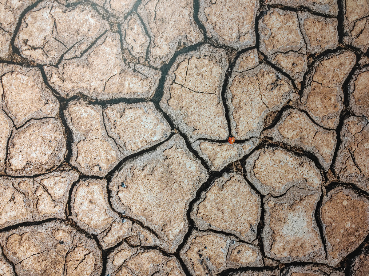 В окрестностях озера Баскунчак. Автор Виталий Медведев.