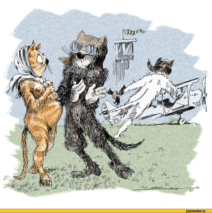 Фото из Интернета. Спасибо автору. 