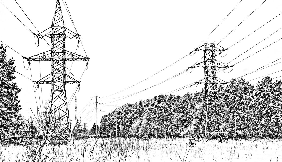 Я Дарья Тодорова. Выпускница МГУ, юрист, руководитель. Это мой блог.