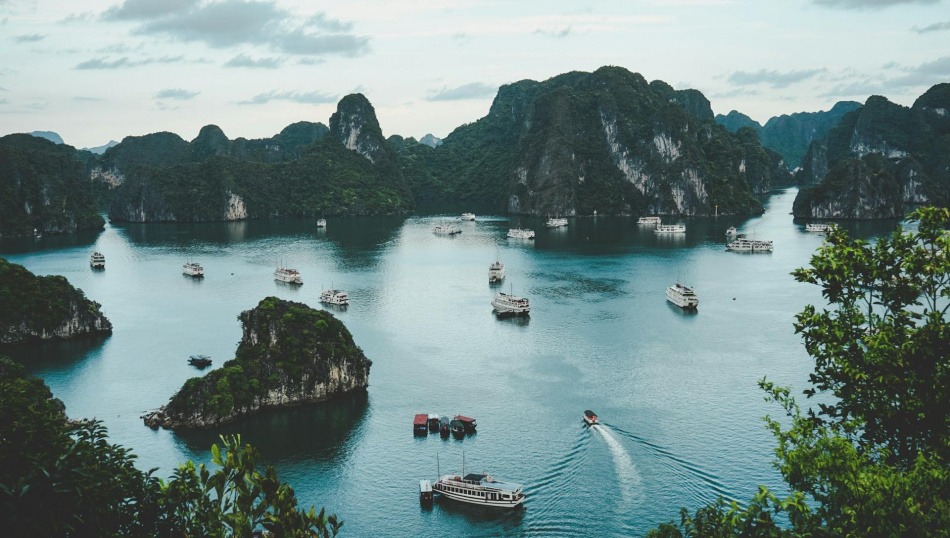 Фото: Ammie Ngo, unsplash