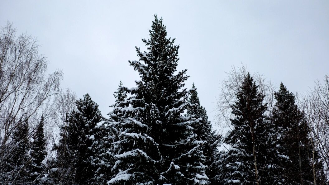    Elena Mayorova/Globallookpress