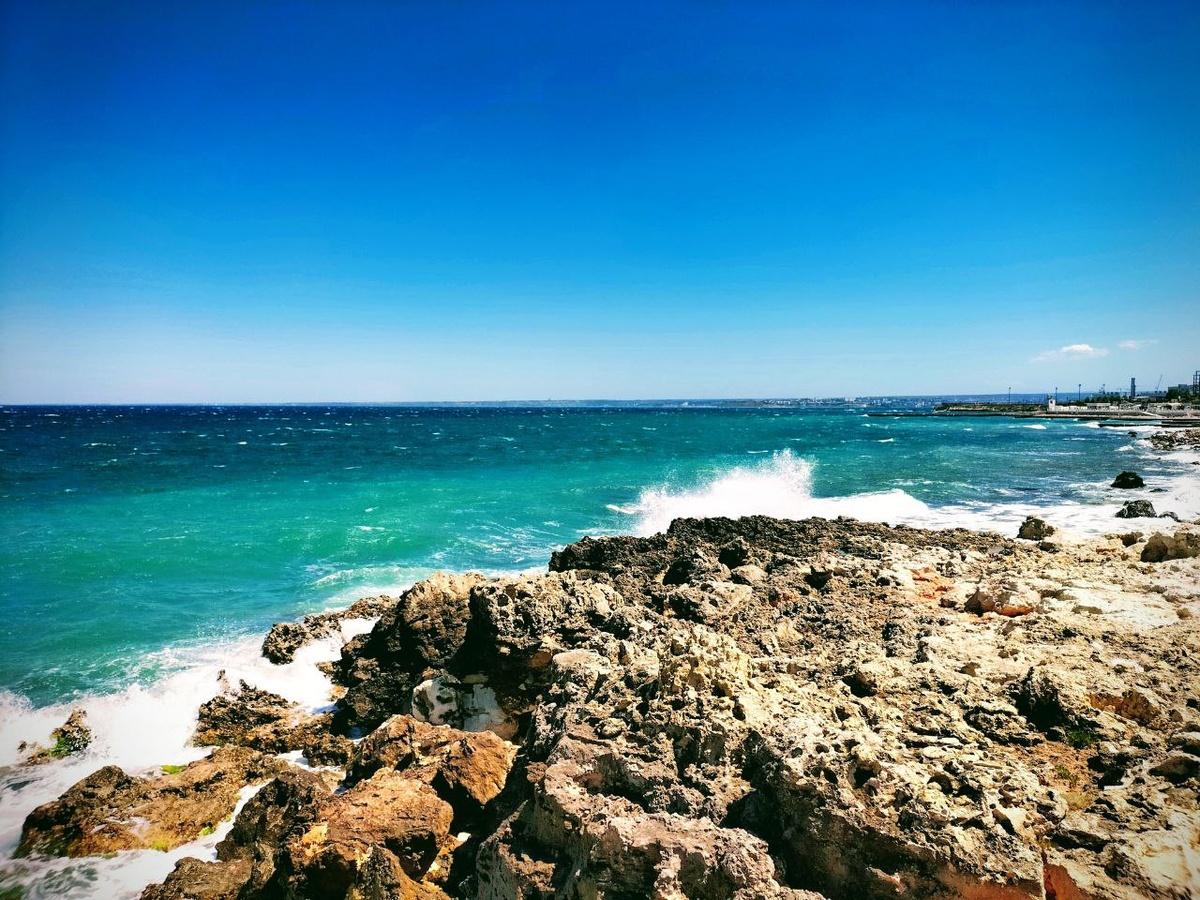 Пока еще чистый берег дикого побережья в Севастополе.