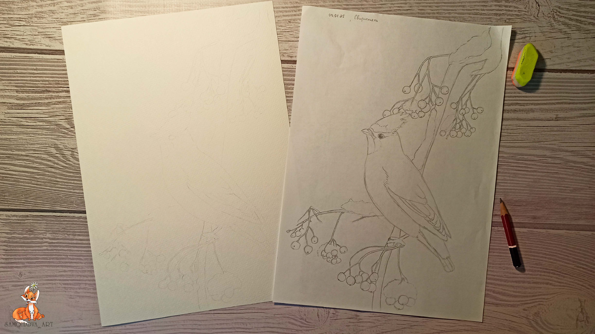 Перенос эскиза на бумагу для акварели