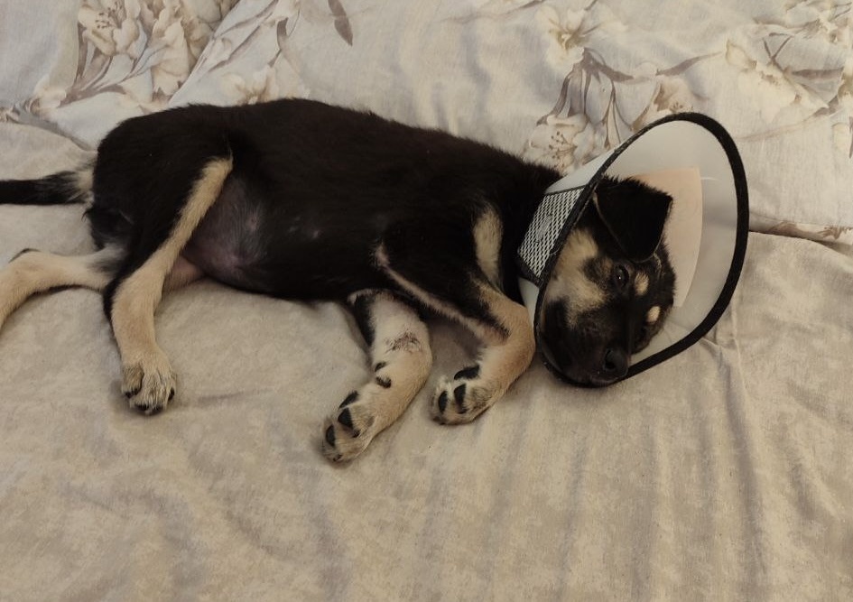 Особенно страшно за таких малышат 