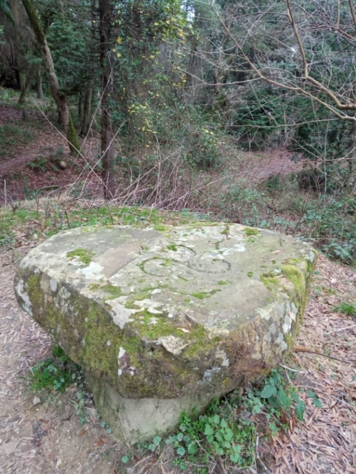 Древний камень