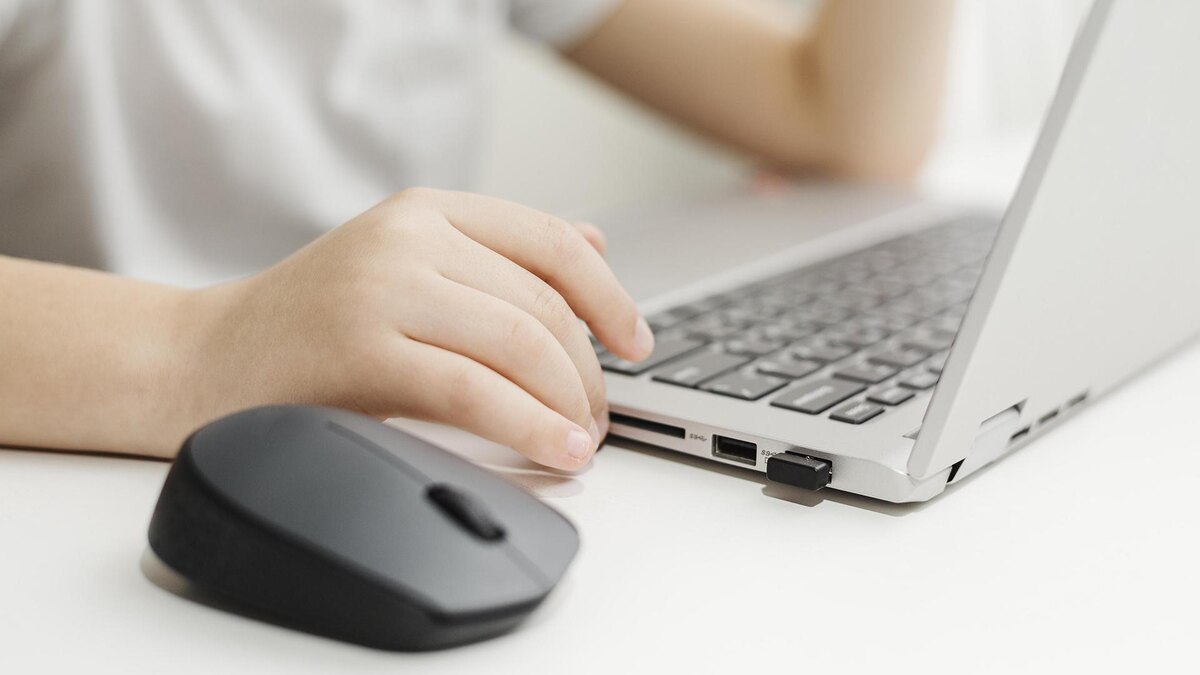    Фото: freepik.com