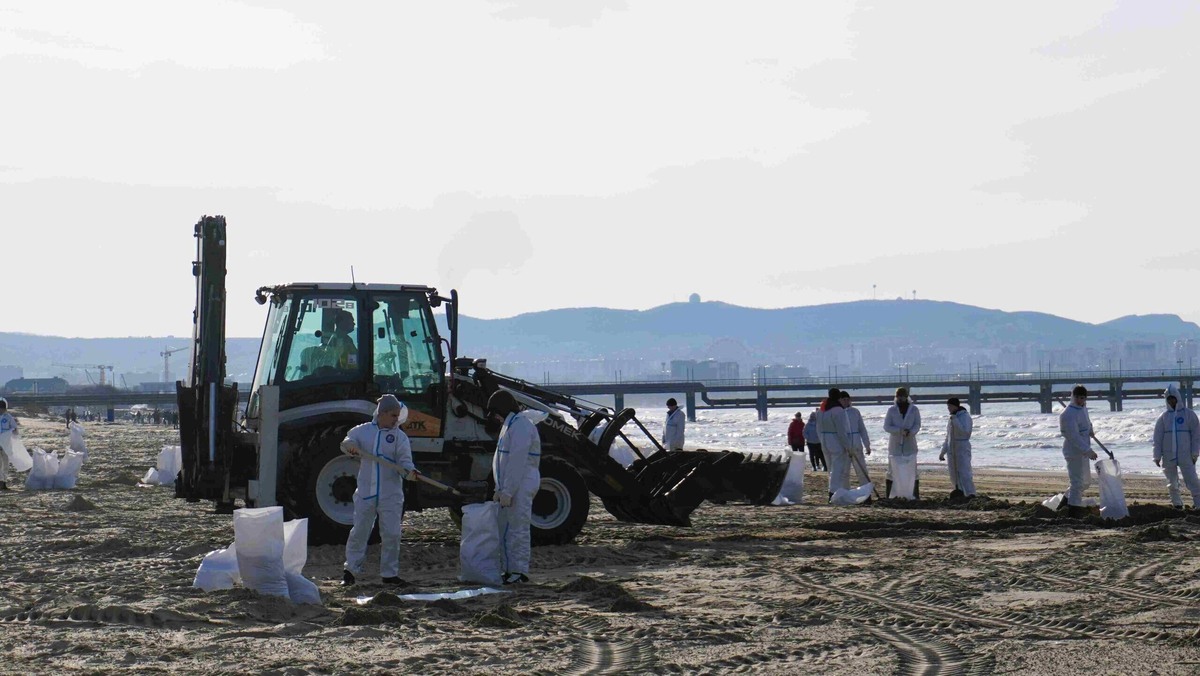    Волонтёры на пляже Анапы. Фото: Екатерина Новикова