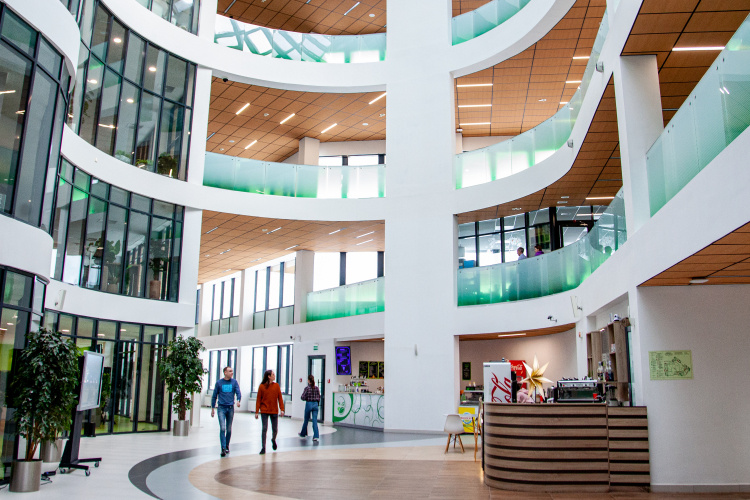    Чтобы попасть на бюджет в Иннополисе, нужно постараться еще сильнее и сдать ЕГЭ на 95 баллов.   
Фото: «БИЗНЕС Online»