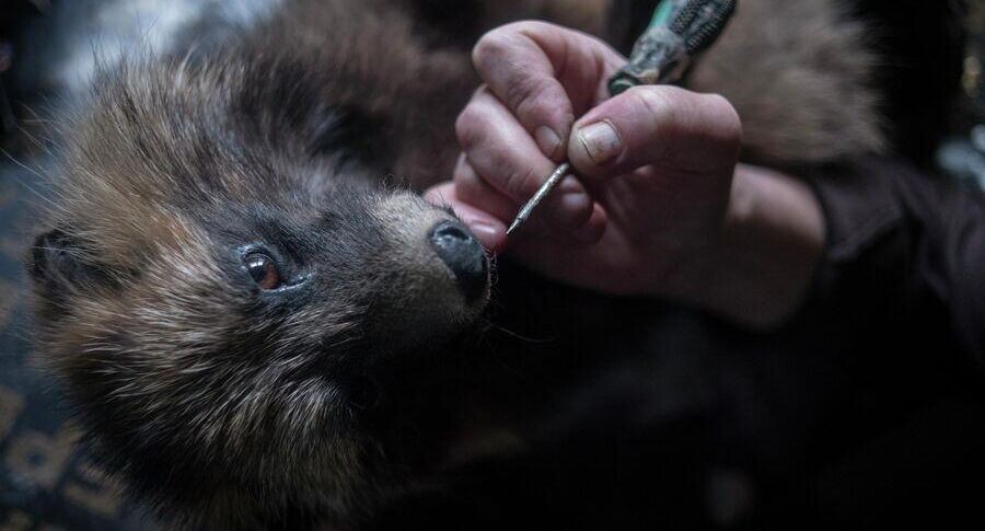    РИА «Новости»