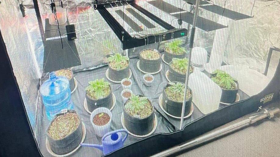    Фото: t.me/sztproc