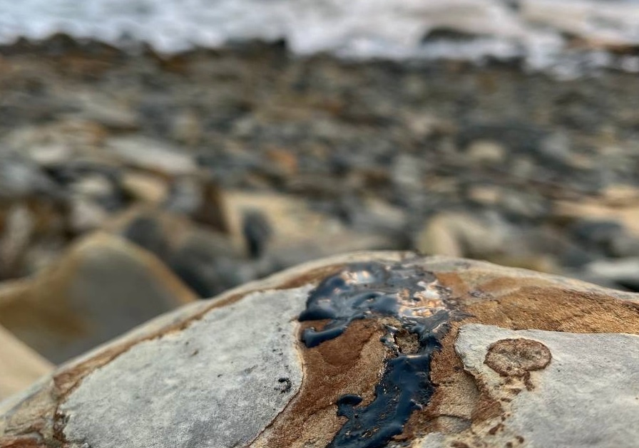 Фото: Жанна Пошаталова