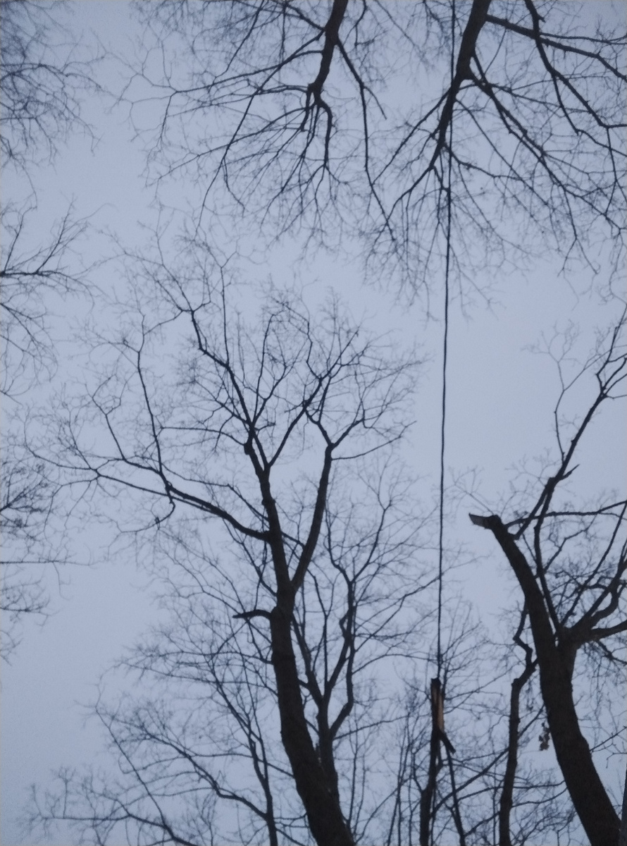 Полпятого примерно