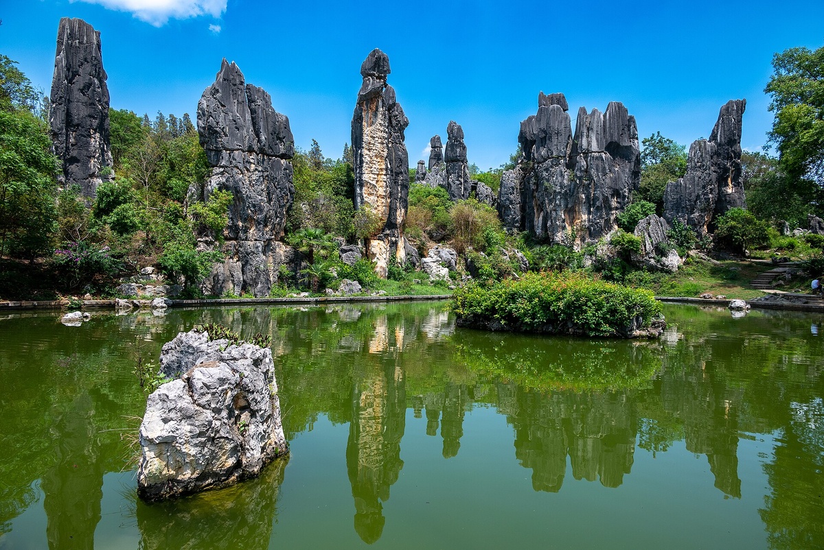 By xiquinhosilva - https://www.flickr.com/photos/xiquinho/53182199939/in/album-72177720311134477/, CC BY 2.0