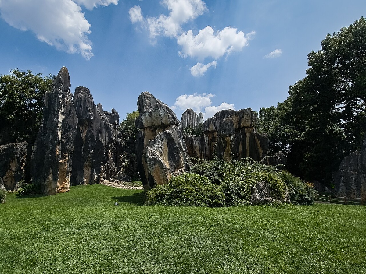 By xiquinhosilva - https://www.flickr.com/photos/xiquinho/53182200039/in/album-72177720311134477/, CC BY 2.0