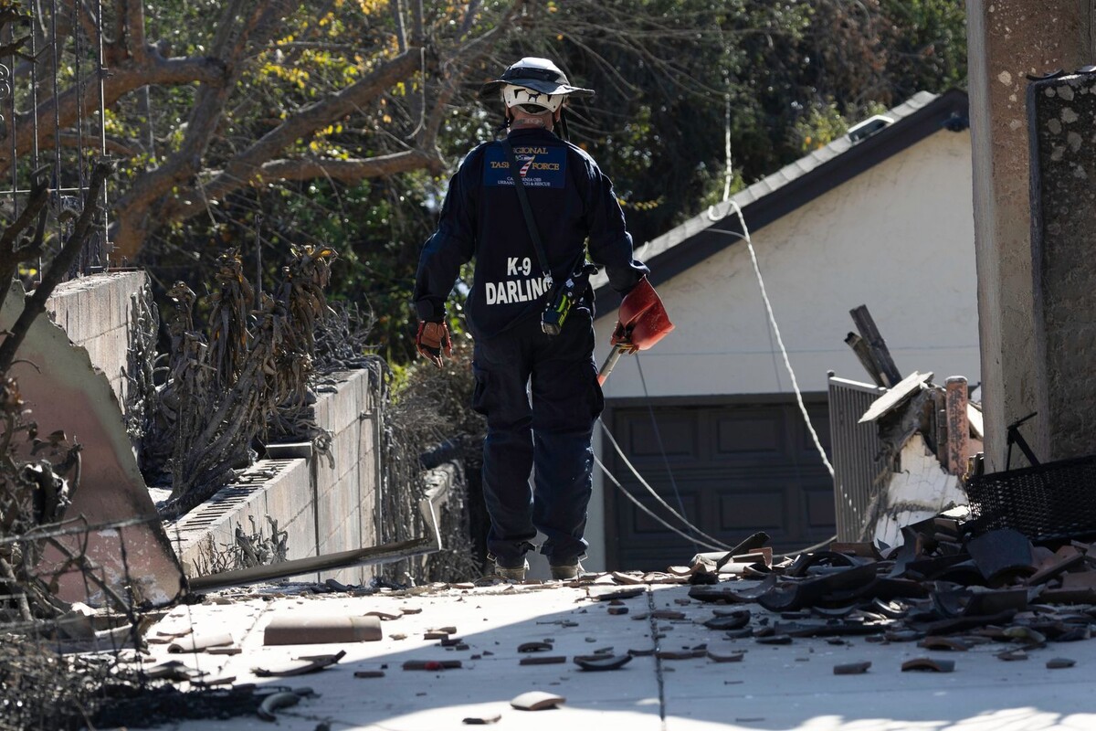     / Источник: © Global Look Press