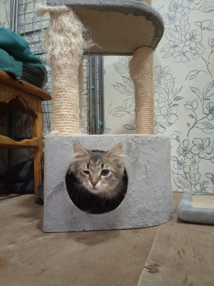 Фото автора канала.