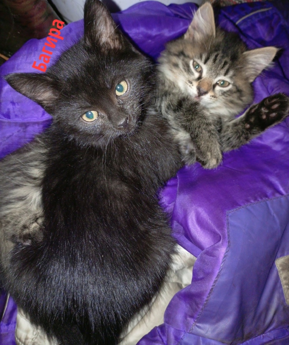 Фото автора канала.