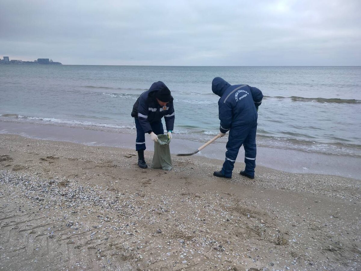 Фото: Пресс-служба администрации Краснодара