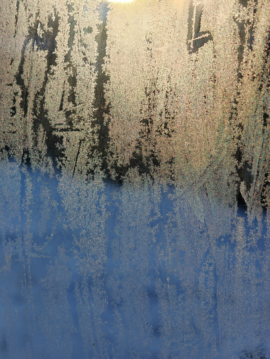 Мороз на стёклах