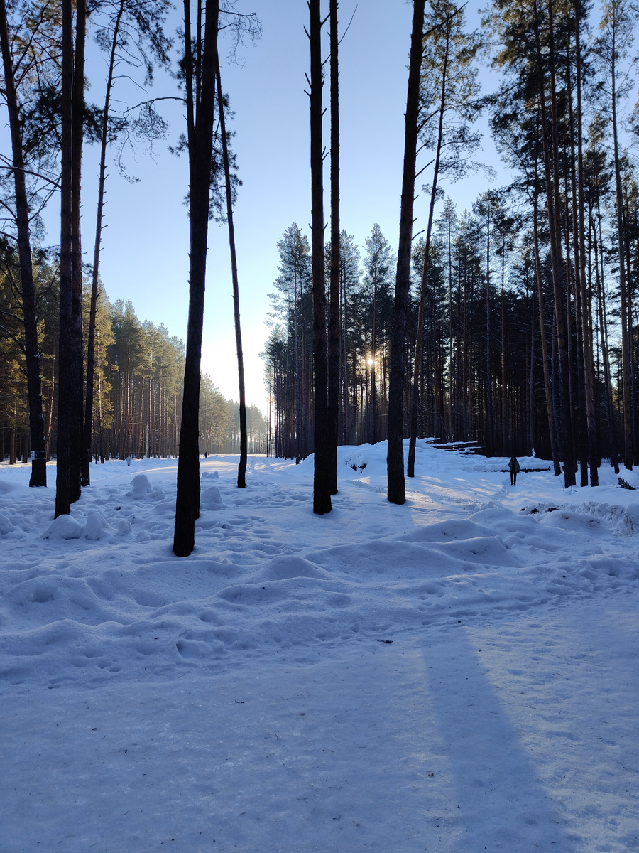 Солнце всё выше