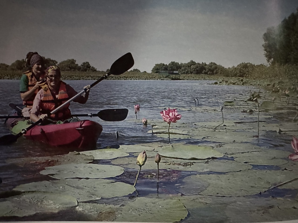 Путешествие на каяках по протокам с зарослями лотоса. Фото Марины Вильдановой.        