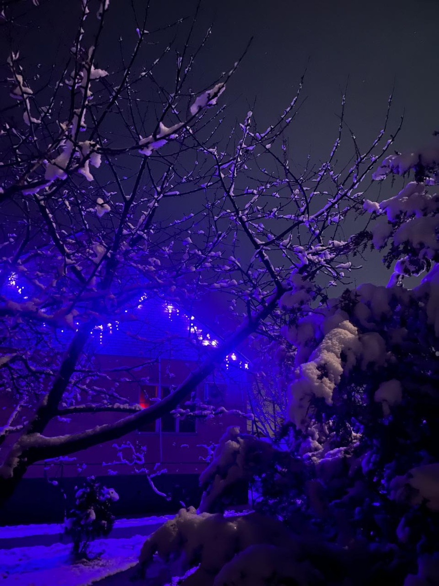 14 января 2025 г.