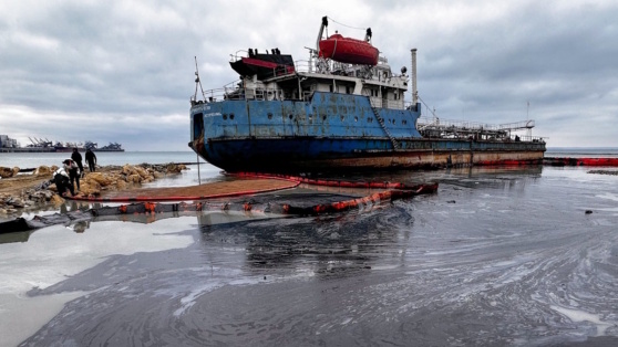    Путин сообщил, что ждет активных действий от комиссии по ликвидации ЧС с мазутом Виктория Шварц