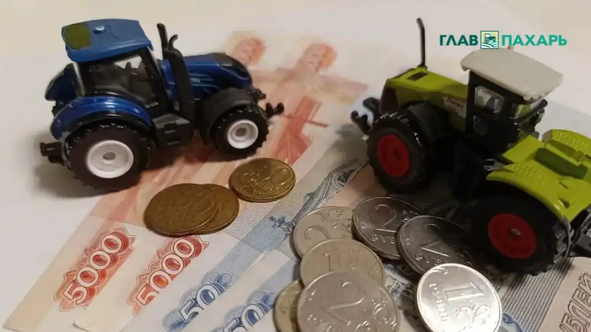 Фото: © Артем Борисов / Glavpahar.ru
В РФ возникли некоторые проблемы с льготным кредитованием АПК (фото иллюстративное)