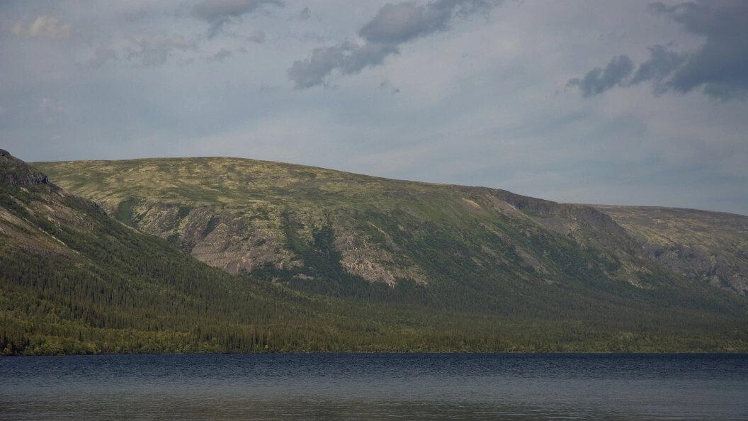    George Zakharchuk/Russian Look/Globallookpress