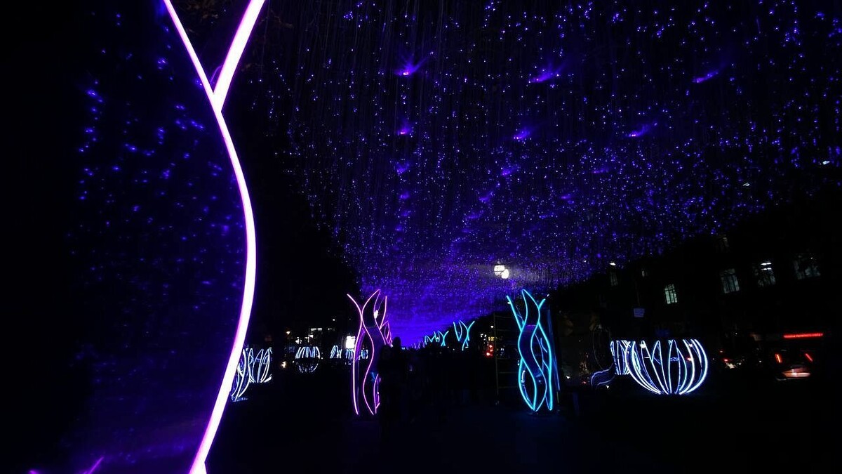    Фото: телеканал «Краснодар»