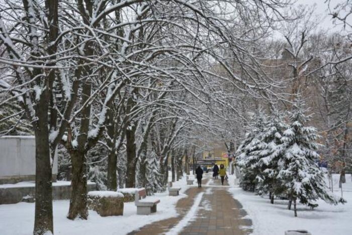 Источник фото: © «Панорама»