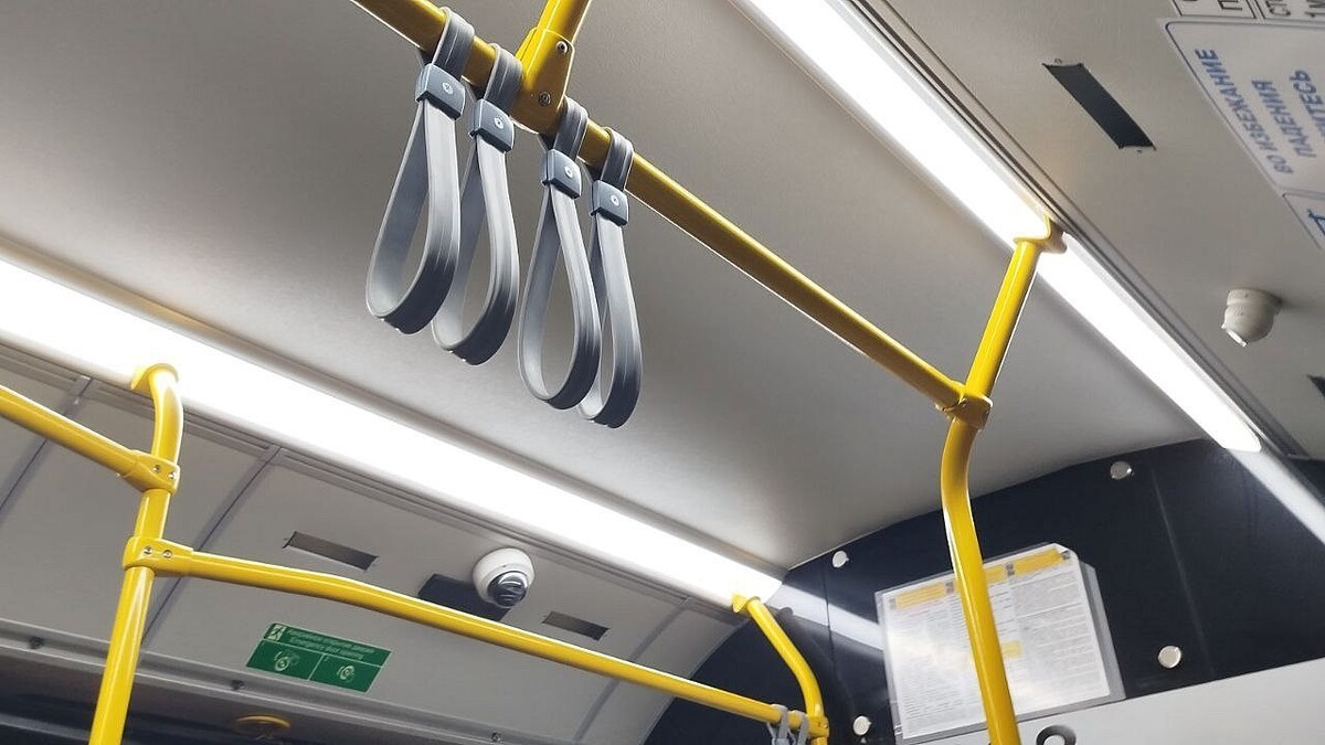    Фото: телеканал «Краснодар»