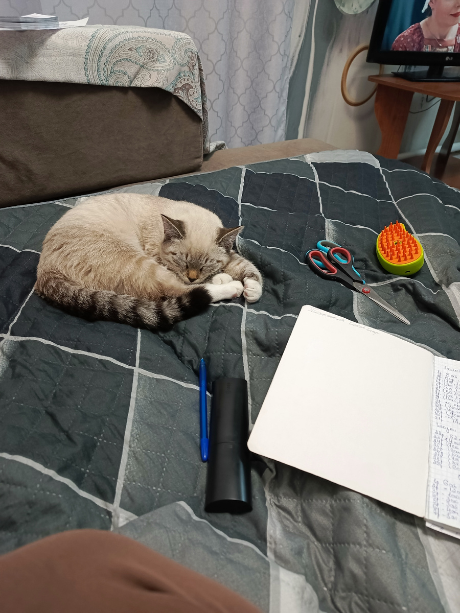 Рядом лежит паровая щётка для кота. Но он очень сильно её боится 🙀