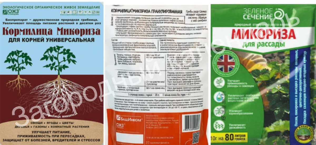 Какой микоризой удобнее пользоваться