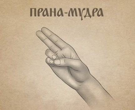 Источник: https://pin.it/1ceOhCWx7