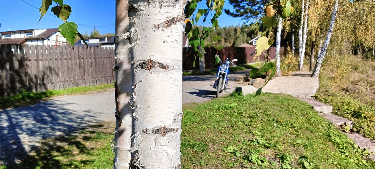 Мотоцикл - это фон