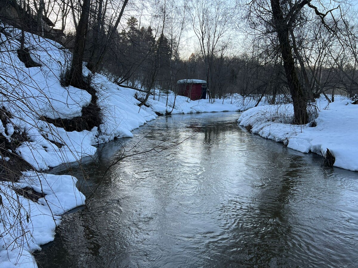 Талица зимой