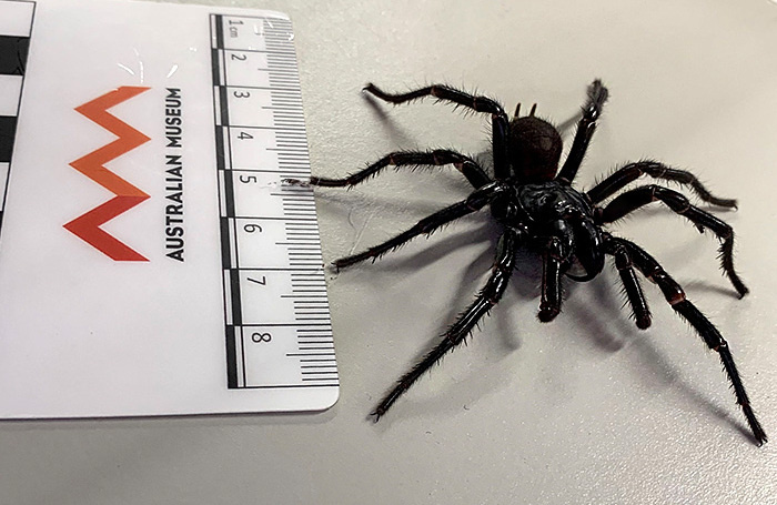    Stefica Nicol Bikes/Reuters